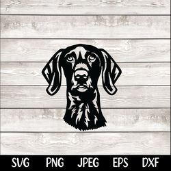 german shorthaired pointer svg car decal t-shirt png svg