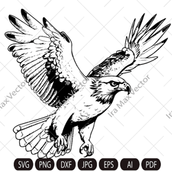 falcon svg, falcon clipart, falcon png, falcon head, falcon cut files for cricut , falcon silhouette