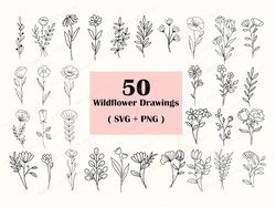 50 wildflower svg bundle, flower svg, floral svg bundle, wildflower svg, floral svg, botanical svg, flower tattoo, d