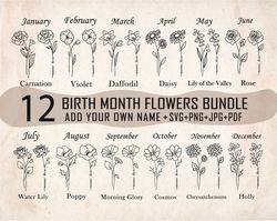 birthmonth svg bundle, flower svg, birth flower svg, floral svg, botanical svg,rose svg,daisy svg,poppy svg, wildflower