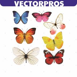 butterfly svg, trending svg, colorful butterfly svg, beautiful butterfly svg, butterfly love svg, butterfly gifts svg, b