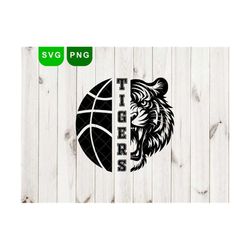 tigers svg & png, basketball svg, tiger face svg, tiger svg, tigers mascot, basketball mom svg, school spirit svg, tiger