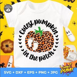 cutest pumpkin in the patch svg png | pumpkin leopard svg | fall svg | pumpkin patch svg | autumn svg | sublimation file