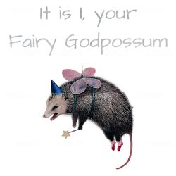 it is i your fairy godpossum funny opossum png