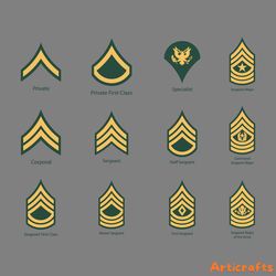 12 us army enlisted rank vectors ai digital download files