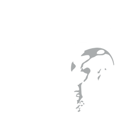 black beast my balls was hot fighting out of houston svg