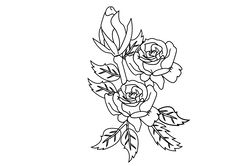 rose flowers outline