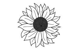 sunflower outline