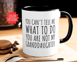 you cant tell me what to do youre not my granddaughter, funny grandpa mug, gra
