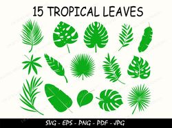tropical leaves svg bundle, tropical leaf svg, palm leaves svg, palm branch svg, jungle leaves svg, monstera svg, tropic