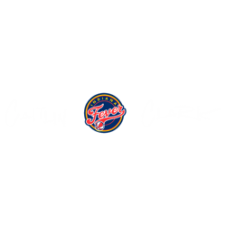 caitlin clark indiana fever basketball team svg