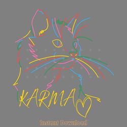 taylor swift karma is a cat svg graphic design files