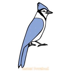 blue jay bird svg png jpg clipart digital cut file download for cricut silhouette sublimat