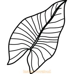 tropical leaves svg jungle tropical leaf