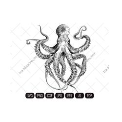 octopus svg, kragen svg, octopus printable,  octopus detailed, octopus clipart