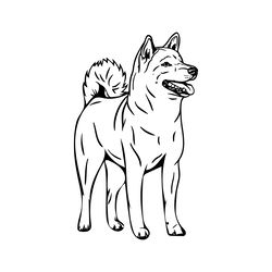 japanese shiba inu svg digital download files