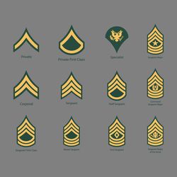 12 us army enlisted rank vectors ai digital download files