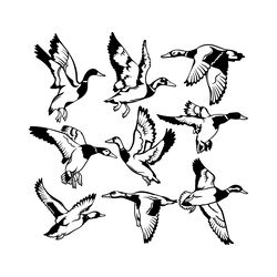 flock of birds svg vector digital download files