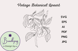 vintage botanical line drawing clipart design 168