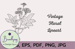 vintage floral line art design 173