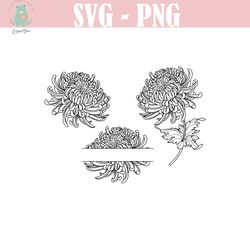 chrysanthemum svg, botanical svg, wildflower stencil, birth flower svg, wildflower cut files for cricut silhouette