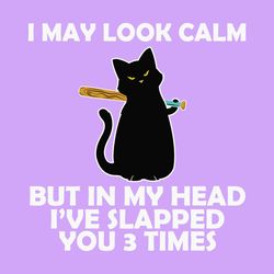 i may look calm funny black cat