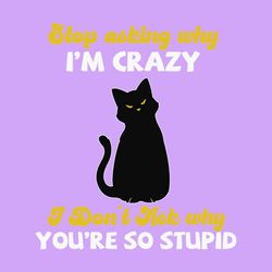 funny cat stop asking why i'm crazy