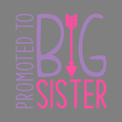 promoted to big sister digital download files