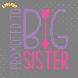 promoted to big sister digital download files