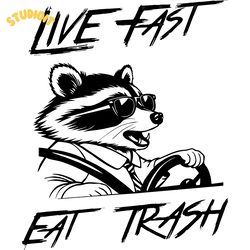 live fast eat trash funny raccoon svg digital download files