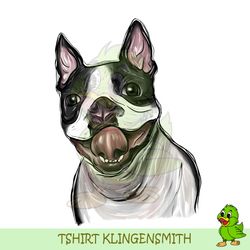 boston terrier sublimation png, watercolor boston terrier png, cute boston terrier png, hand drawing png, dog png