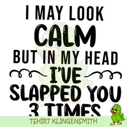 i may look calm but in my head i've slapped you 3 times png svg ,funny png, funny quotes svg png, digital download png