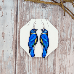 handmade realistic blue florida scrub jay earrings: lightweight resin birds