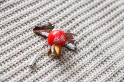 Brooch Rosehip Winter Brooch Unique Gift