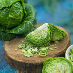 miniature cabbage set | miniature vegetable | dollhouse miniatures
