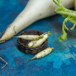 tutorial miniature daikon with polymer clay | miniature food tutorial | dollhouse miniature