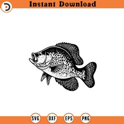 crappie fishing svg fishing svg crappie fish svg