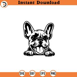 french bulldog svg file frenchie svg fun