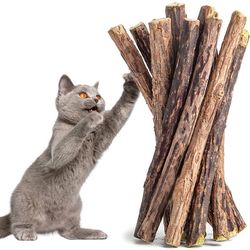 natural matatabi cat sticks: exciting silvervine rods for teeth cleaning and treating - available in 5/25/50pcs