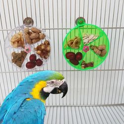 pet parrot toys: rotate wheels, foraging feeder box & accessories