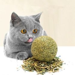 cat wall stick-on ball toy: teeth cleaning & entertainment with cat grass balls, catnip snacks, and hair removal - pet s
