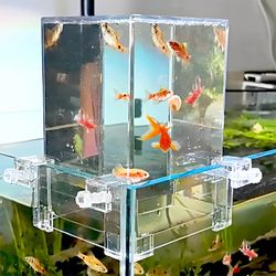 fish elevator: unique aquarium decor to lift your fish