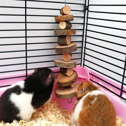 natural wood chew toy for small pets: hamsters, rabbits, guinea pigs, chinchillas, squirrels - pet tooth grinding suppli