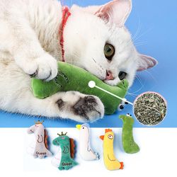 interactive cat toy: plush catnip chew for fun playtime and teeth health | cute kitten accessories