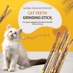 catnip clean teeth green snacks sticks: molar cat chew toy, pet supplies - natural plants for healthy, funny cats