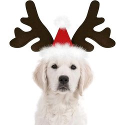 christmas dog supplies: elk reindeer antlers & santa hat costume