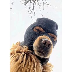 large dog ski hats & pet helmets: funny costumes & cosplay gear