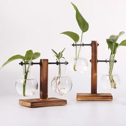 hydroponic plant terrarium vase: glass bottle decoration for home & office greenery - small potted desktop decor