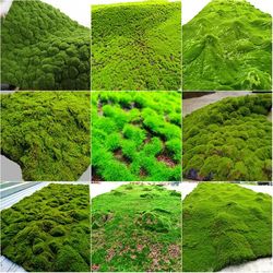 outdoor garden decor: artificial turf moss grassland & fake grass lawn carpet