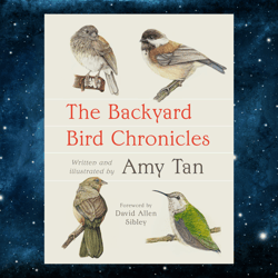 the backyard bird chronicles